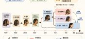 人类与其他古人类的关系示意图